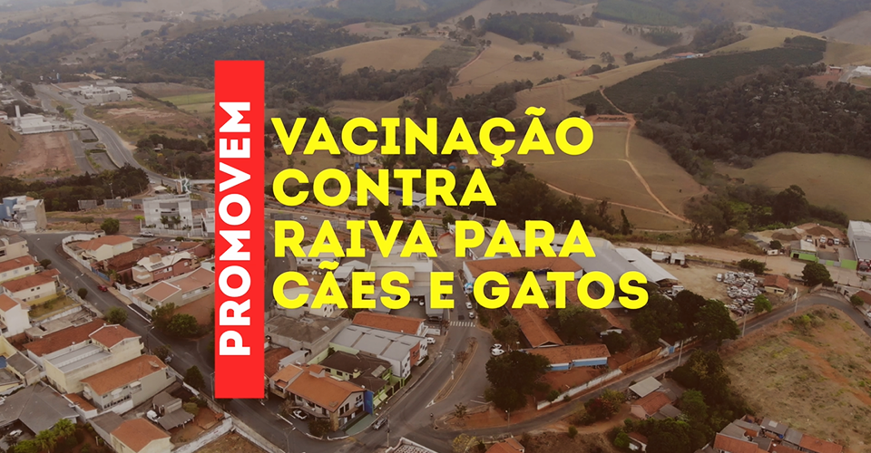 Campanha de Vacinação Cães e Gatos 1º dia