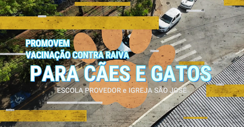 1° Dia de Campanha de vacinação Cães e Gatos